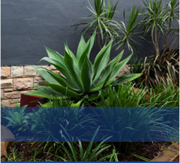 landscaping service adelaide